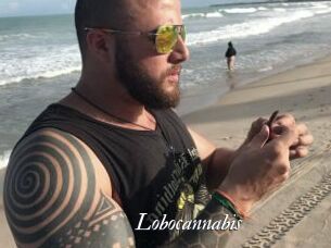Lobocannabis