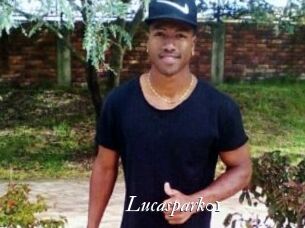 Lucaspark01