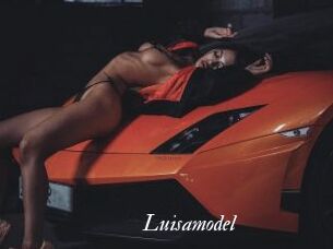 Luisamodel