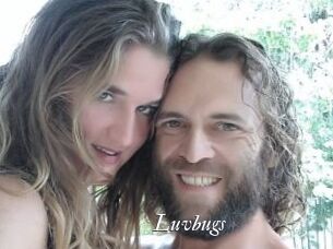 Luvbugs