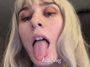 L4dybug