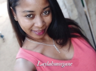 Laylahmorgane