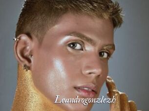 Leandrogonzlezh