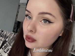 Ledibritmi