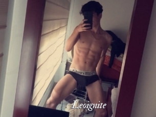 Leoignite