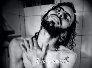 Lepus_mystical
