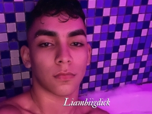 liambiigdick Partouze