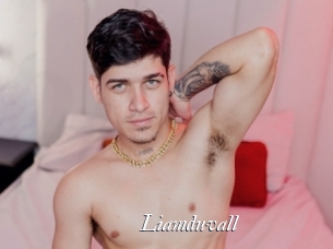 liamduvall Partouze