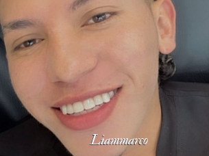 liammarco Partouze