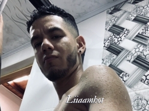 Liiaamhot