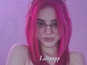 Lillipupp