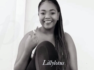 Lillylotus