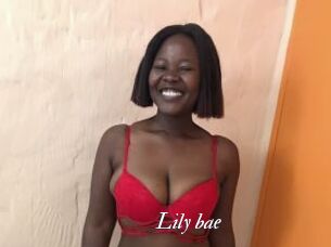 Lily_bae