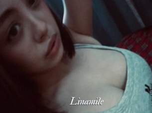 linamile Partouze