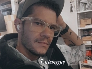 Litlebigguy