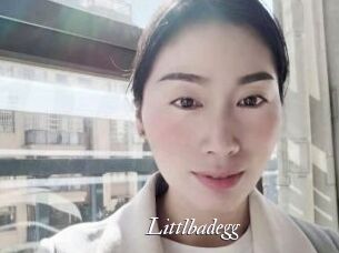 Littlbadegg
