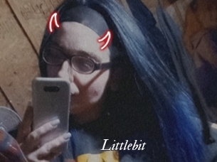 Littlebit