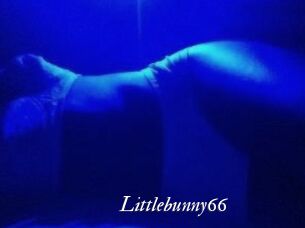 Littlebunny66