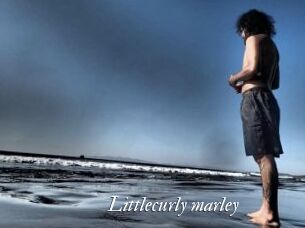 Littlecurly_marley