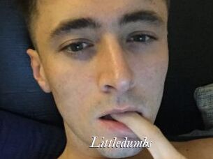 Littledumbs