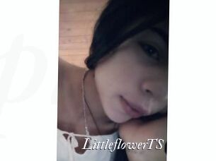 LittleflowerTS