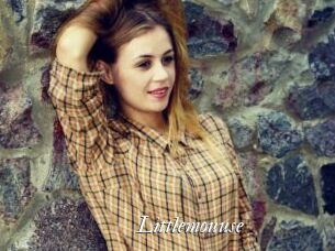 Littlemouuse