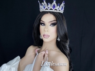 Littlesamm