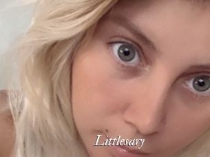 Littlesary
