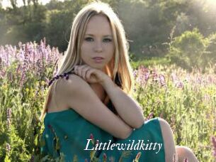 Littlewildkitty