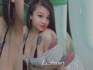 Lizhorney