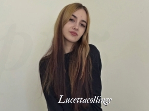 Lucettacollinge