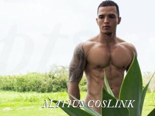 MATIUS_COSLINK