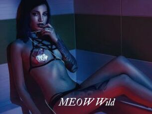 MEOW_Wild