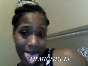 MSMICHIGAN