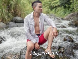 MagnusWayne