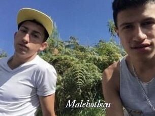 Malehotboys