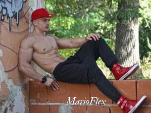 MarioFlex
