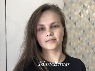 MarteBernar Partouze