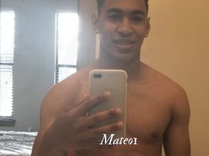 Mateo1