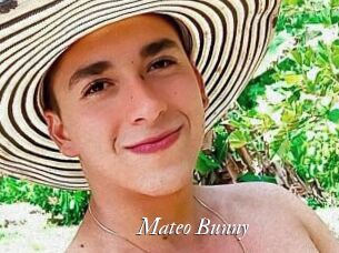 Mateo_Bunny
