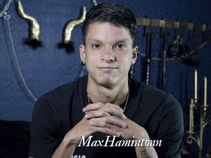 MaxHamintonn