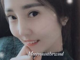 Meetyouinthewind