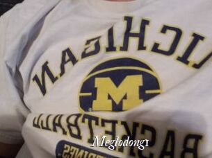 Meglodong1