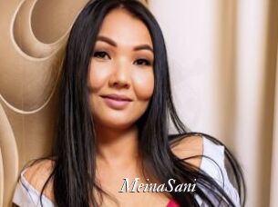 MeinaSani