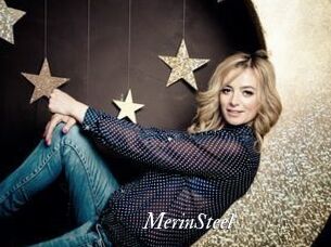 MerinSteel