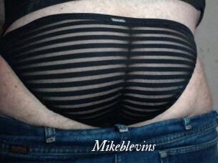 Mikeblevins