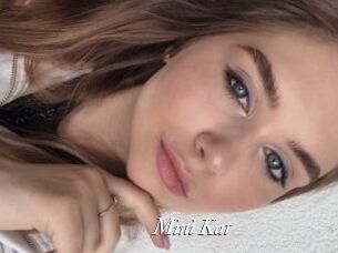 Mini_Kat