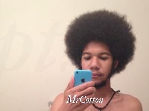 MrCotton Partouze