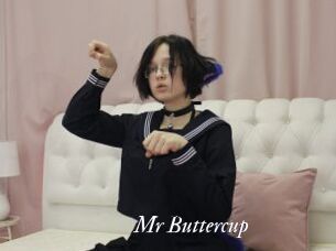 Mr_Buttercup