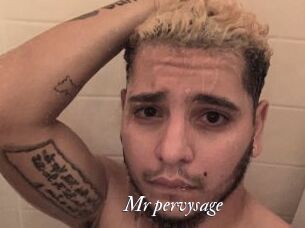 Mr_pervysage Partouze